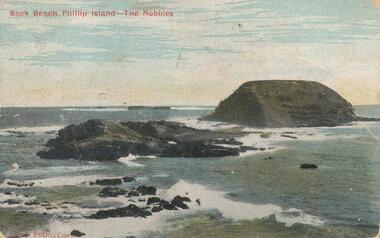 Photograph - Post Card, Early 1900's