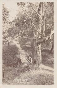 Photograph - Post Card