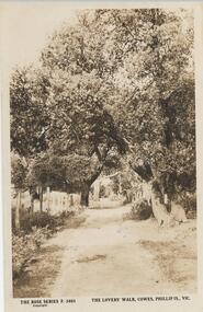 Photograph - Post Card