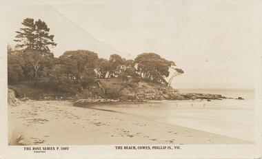 Photograph - Post Card, Early 1900's
