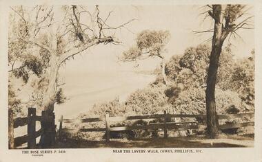 Photograph - Post Card, Early 1900's