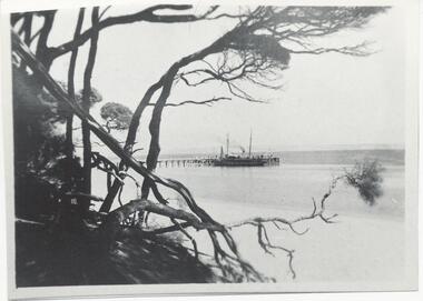 Photograph, Unknown