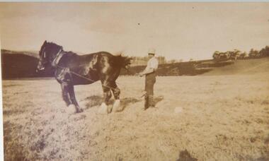 Photograph, Unknown