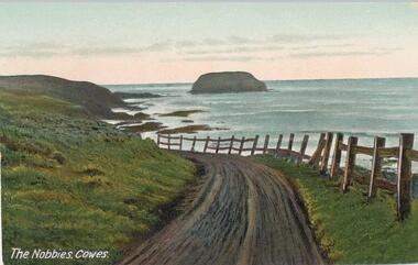 Photograph - Post Card, Early 1900's