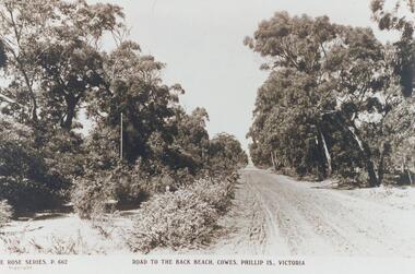 Photograph, Unknown