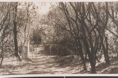 Photograph, Unknown