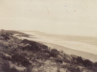 Photograph, Early 20th Century
