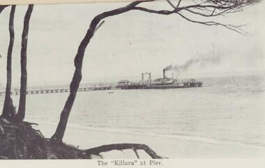 Photograph, Early 20th Century