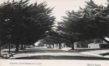 Photograph - Post Card, 1940's - 1950's