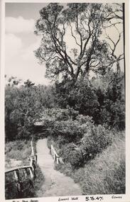 Photograph - Post Card, 1940's
