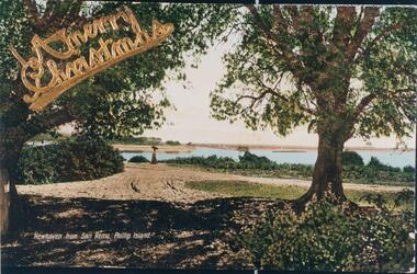 Photograph - Post Card, Early 20th Century