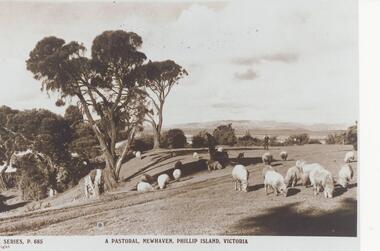 Photograph, Unknown