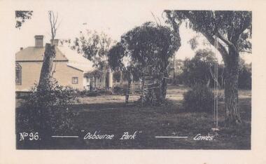 Photograph, Early 20th Century