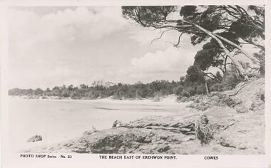 Photograph - Post Card, Unknown