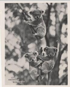 Photograph, 1940's