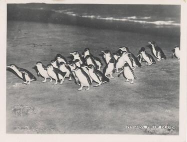 Photograph, 1940's