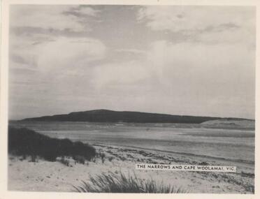 Photograph, Unknown