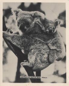 Photograph, Unknown
