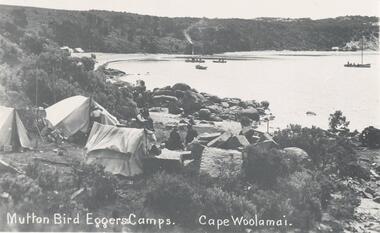 Photograph, Mutton bird eggers camp, Unknown