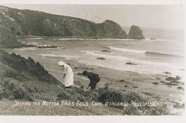 Photograph, Unknown
