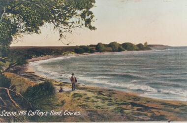 Photograph, Early 20th Century