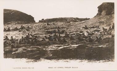 Photograph - Post Card, Early 20th Century