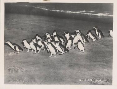 Photograph, 1940's - 1950's