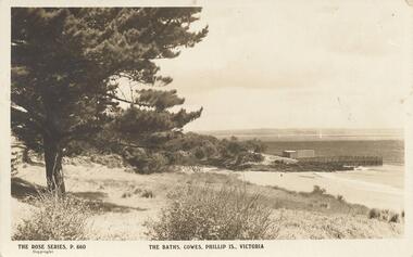 Photograph - Post Card, Early 20th Century
