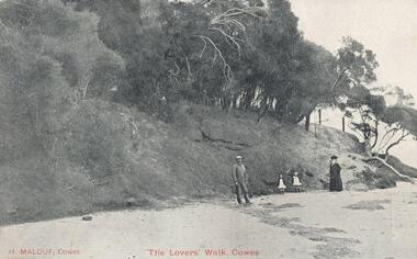 Photograph - Post Card, Early 1900's