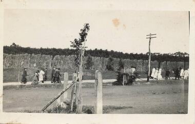 Photograph, Mid 1900's