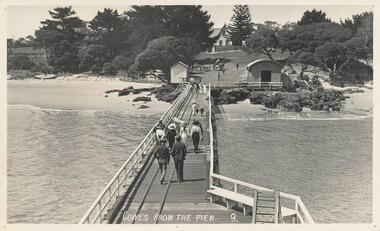 Photograph - Post Card, Early 20th Century