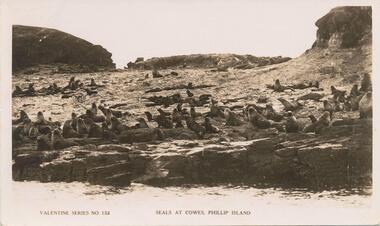 Photograph - Post Card, 1933 approx
