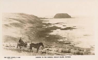 Photograph - Post Card, Early 20th Century