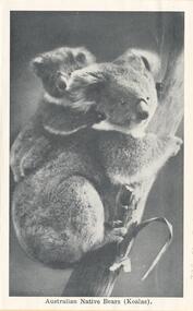 Souvenir Photographs, Valentine Publishing Co. Pty. Ltd, 1940's