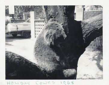 Photographs, 1968 to 1995