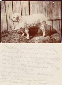 Photograph, Late 1920's