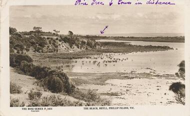 Photograph - Post Card, The Rose Stereographs, 1920's
