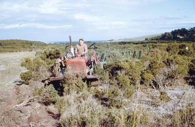 Photographs/Slides, Laurie Dixon, 1961