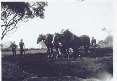 Photographs, c 1900