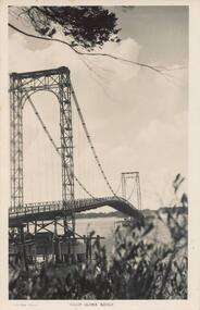 Photograph - Post Card, A. J. Murray, c 1950