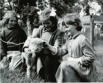 B/W Photograph, 3 young children and lamb, 1953