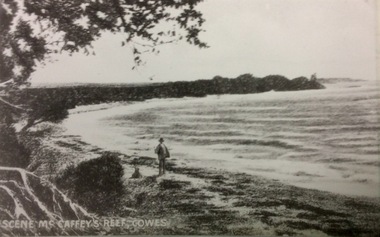 Photograph, McHaffie's Reef