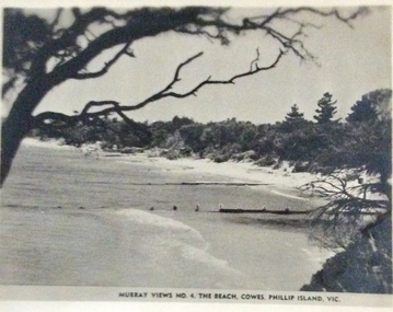 Photograph, Murray Views, Cowes East Beach