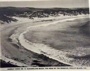 Photograph, Summerland Beach