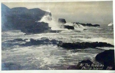 Photograph, The Nobbies