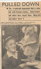 Newspaper Clipping, Edward the Koala, October 1965
