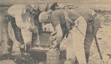 Newspaper Clipping, South Gippsland Sentinel-Times Publishing Co, Pirates on Phillip Island, 20/10/1966