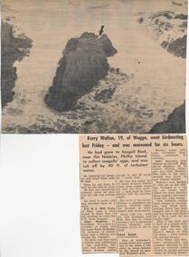 Newspaper Clipping, Marooned at Seagull Rock near Nobbies