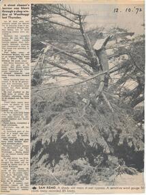 Newspaper Clipping, 85 Knot Wind, 12/10/1972