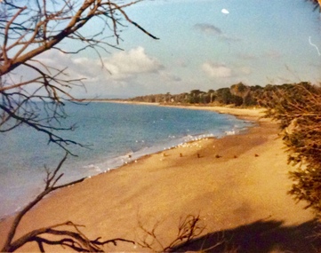 Photograph, Cowes foreshore and Yacht Club, 1980s